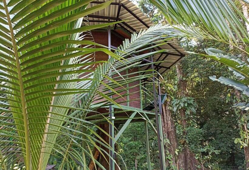 اتاق استاندارد با تراس, Finca Valeria Treehouses Glamping