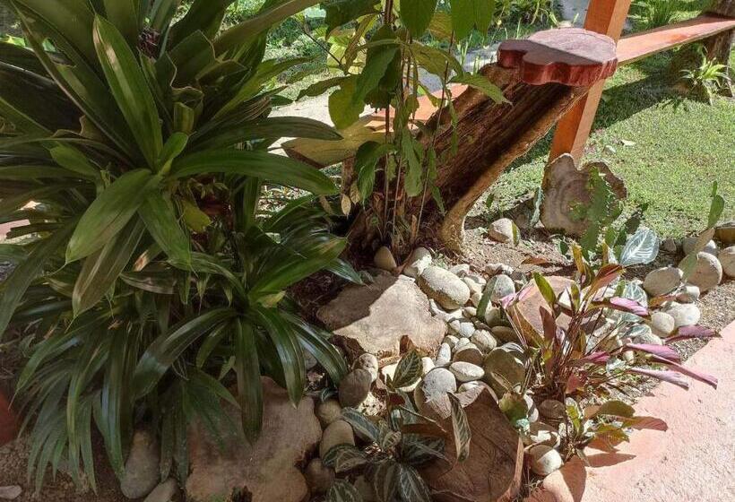 اتاق استاندارد با تراس, Finca Valeria Treehouses Glamping