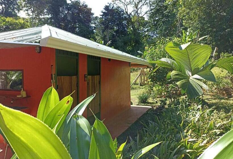اتاق استاندارد با تراس, Finca Valeria Treehouses Glamping