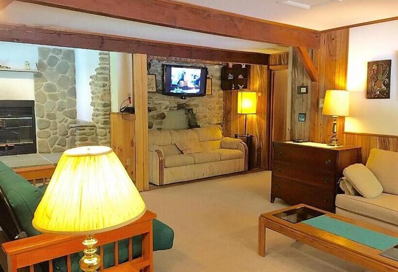Апартаменты 1 Спальня Нижний Этаж, Slide Mountain Forest House