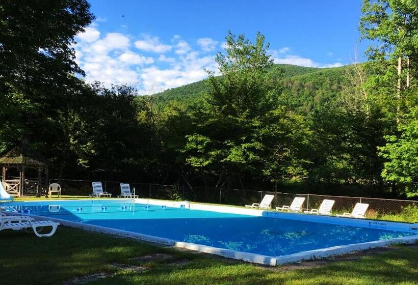 Номер Стандарт, Slide Mountain Forest House