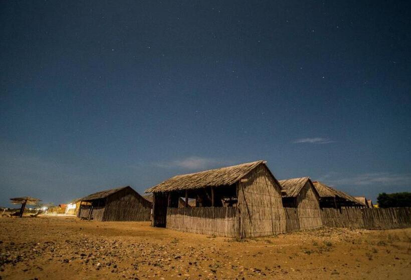 Номер Стандарт, Rancheria Utta