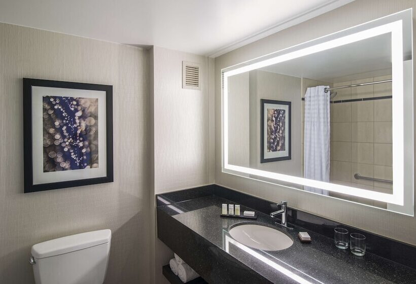 سوییت, Embassy Suites By Hilton Chicago Downtown Magnificent Mile