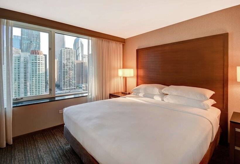 سوئیت پریمیوم, Embassy Suites By Hilton Chicago Downtown Magnificent Mile