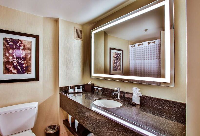 مجموعه ویستا شهر, Embassy Suites By Hilton Chicago Downtown Magnificent Mile