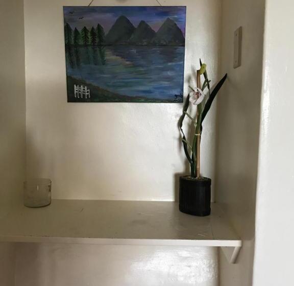 Номер Deluxe, Sheffler S Motel