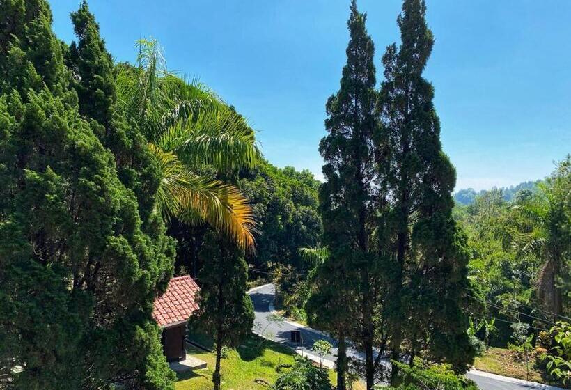 Номер Стандарт Индивидуальный, Grand Whiz Hotel Bromo