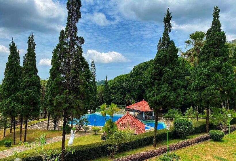 Номер Стандарт с Балконом, Grand Whiz Hotel Bromo