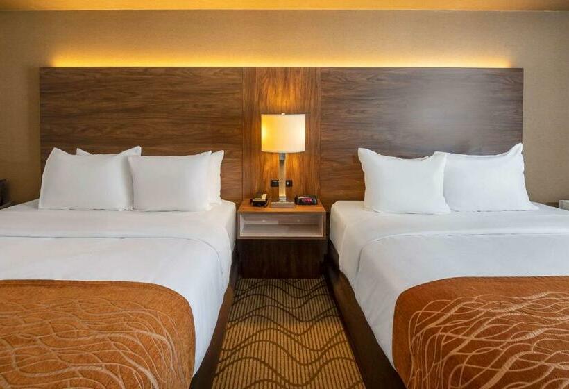 Номер Стандарт 2 Двуспальные Кровати, Comfort Inn Lakeshore