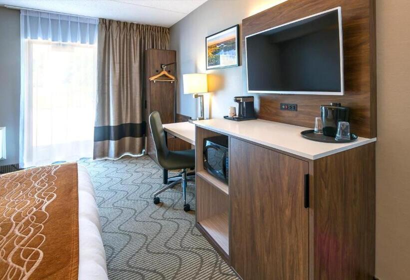 Стандартный Номер Нижний Этаж, Comfort Inn Lakeshore