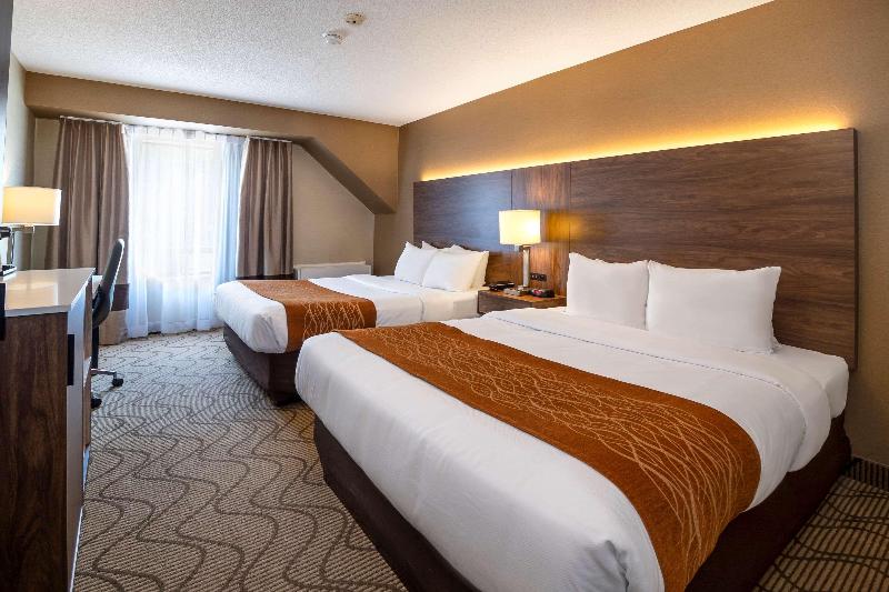 Номер Стандарт, Comfort Inn Lakeshore