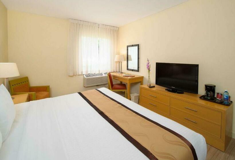 اتاق استاندارد با تخت بزرگ برای معلولان, Quality Hotel Real Aeropuerto San Salvador