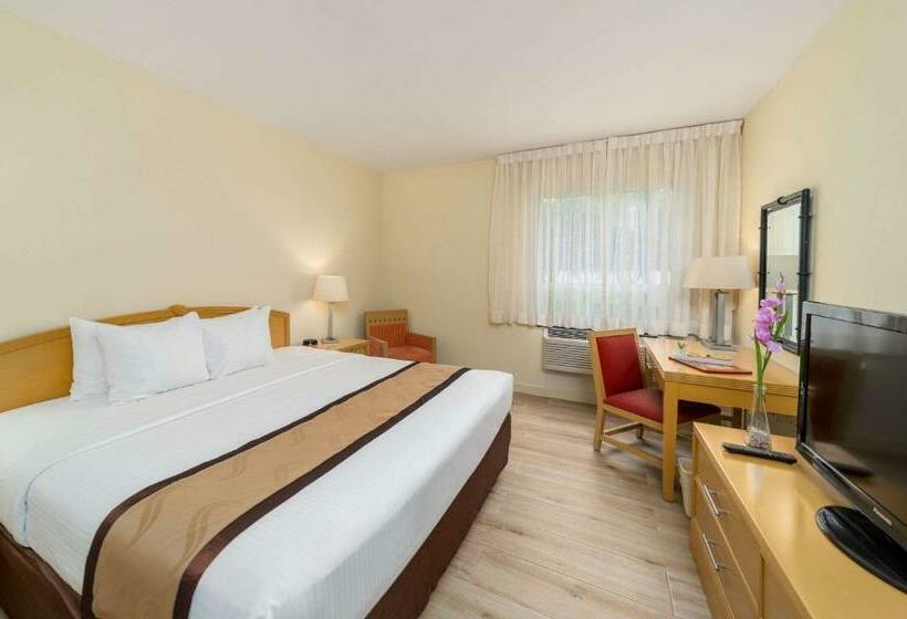 اتاق استاندارد با تخت بزرگ برای معلولان, Quality Hotel Real Aeropuerto San Salvador