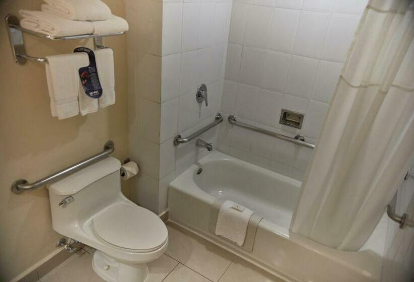 اتاق استاندارد با تخت بزرگ برای معلولان, Quality Hotel Real Aeropuerto San Salvador