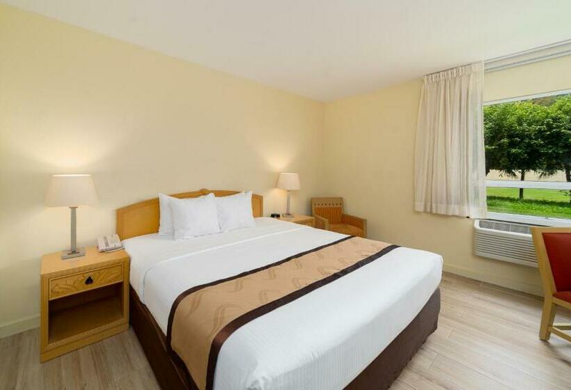 اتاق استاندارد با تخت بزرگ برای معلولان, Quality Hotel Real Aeropuerto San Salvador
