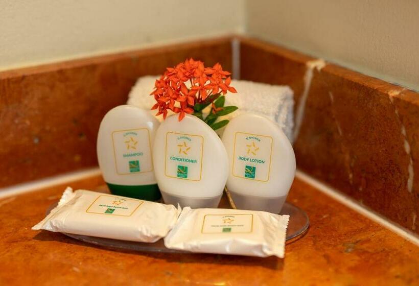 اتاق استاندارد با 2 تخت دوبل, Quality Hotel Real Aeropuerto San Salvador