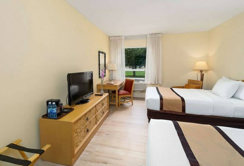اتاق استاندارد با 2 تخت دوبل, Quality Hotel Real Aeropuerto San Salvador