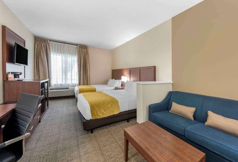 Люкс, Comfort Suites