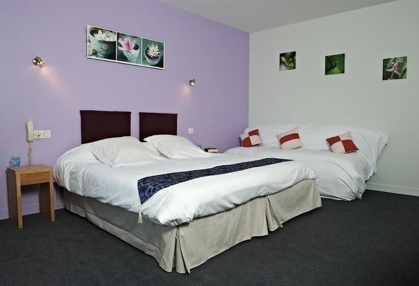 اتاق لوکس, Logis Hotel Belle Vue