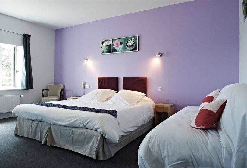 اتاق لوکس, Logis Hotel Belle Vue