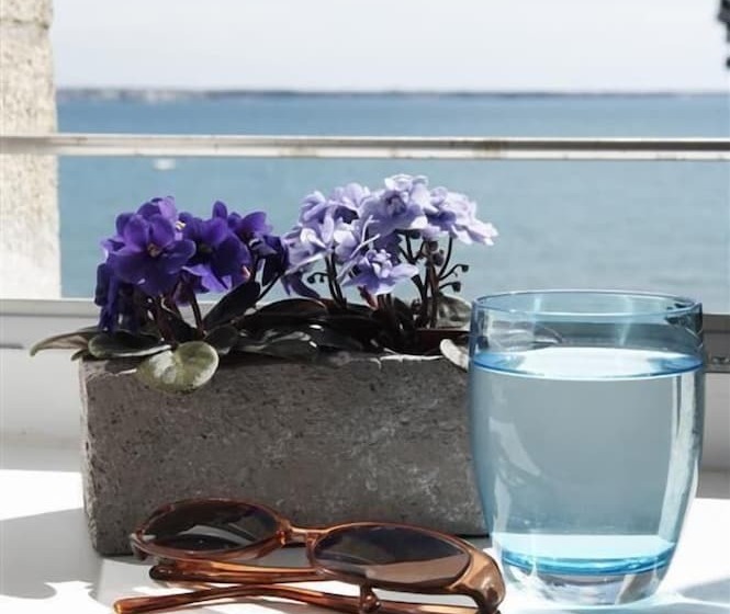 اتاق لوکس, Logis Hotel Belle Vue