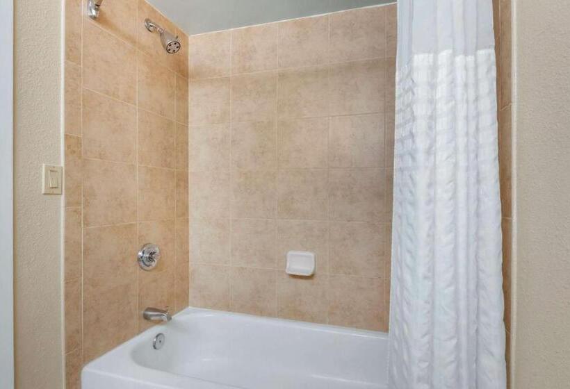سوئیت با تخت بزرگ, Comfort Suites Near Universal Orlando Resort