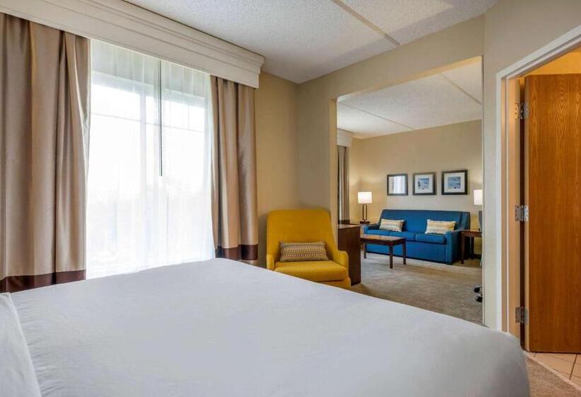 سوئیت با تخت بزرگ, Comfort Suites Near Universal Orlando Resort