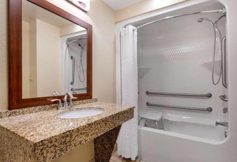 اتاق استاندارد با تخت بزرگ برای معلولان, Comfort Suites Near Universal Orlando Resort