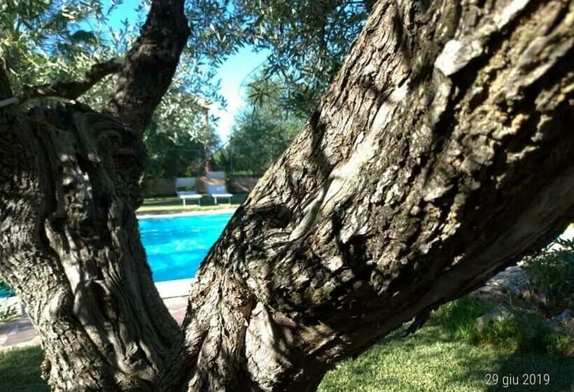 اتاق استاندارد با تخت بزرگ, La Ginestra