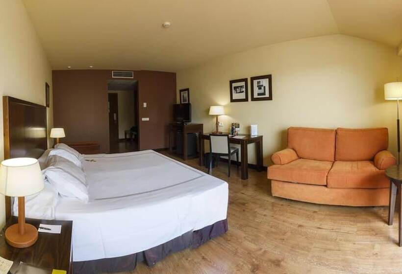 Полулюкс, Gran Hotel Ciudad De Barbastro