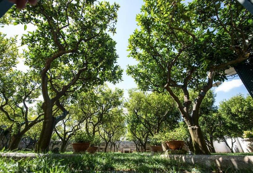 Люкс Вид на Бассейн, Parco Degli Aranci