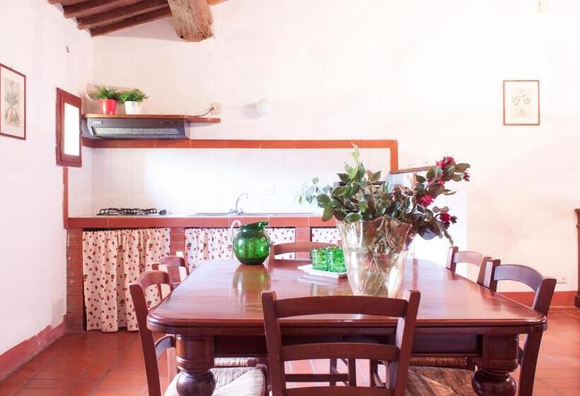 Апартаменты 1 Спальня с Террасой, Agriturismo Tenuta Vallelunga
