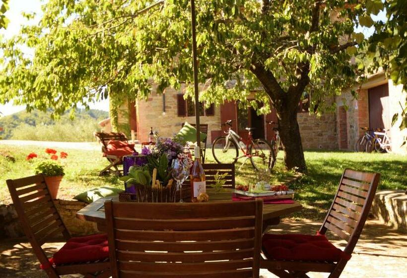 Апартаменты 1 Спальня Нижний Этаж, Azienda Agricola Di Fietri