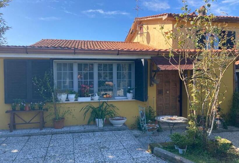Апартаменты Deluxe 1 Спальня, Home Sweet Home