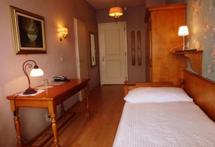 اتاق استاندارد یک نفره, Centralcontinental