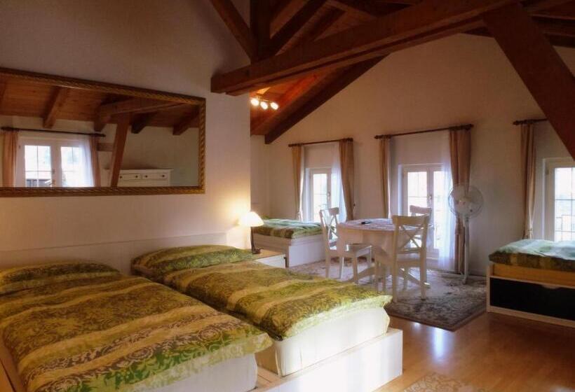 اتاق استاندارد چهار تخته, Centralcontinental