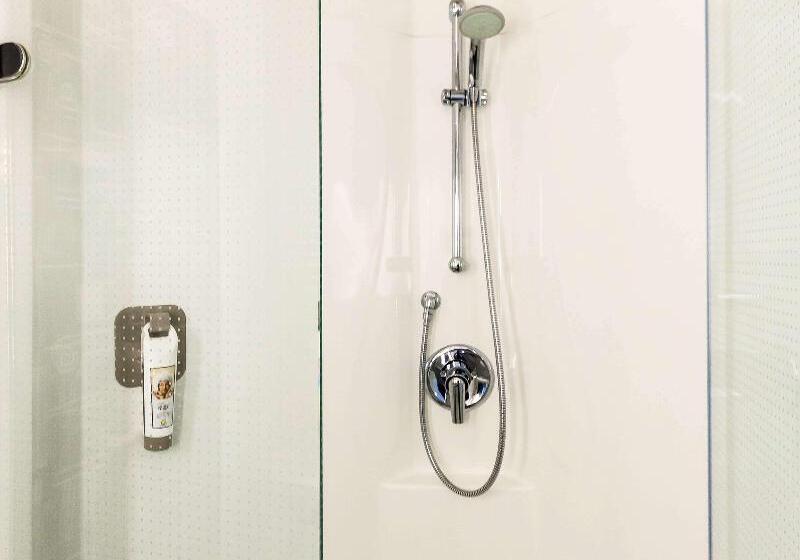 اتاق کلاس بیزنس, Ibis Amsterdam City West
