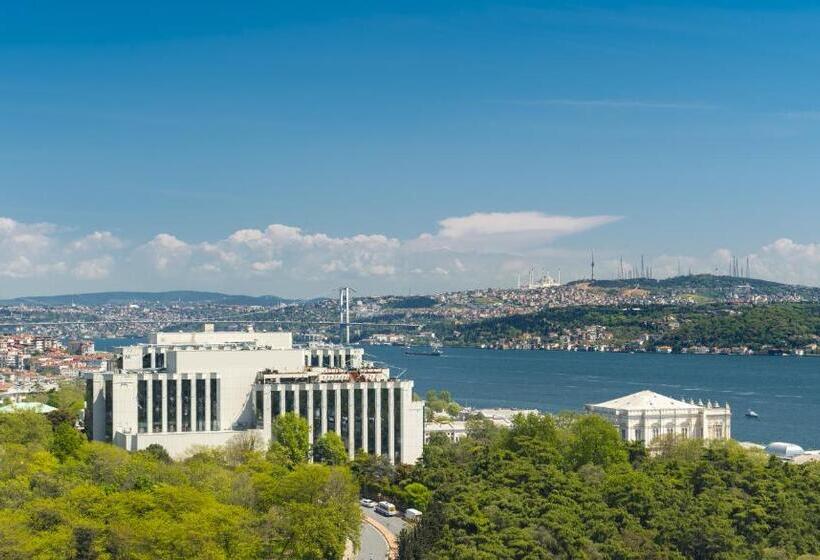اتاق استاندارد با تخت بزرگ, The Ritz Carlton, Istanbul At The Bosphorus