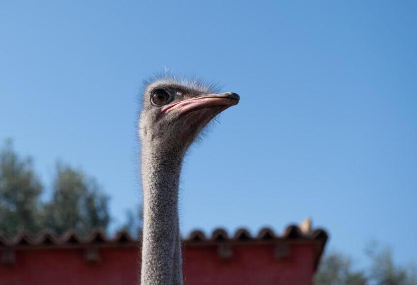 خانه 1 خوابه, Il Vecchio Frantoio