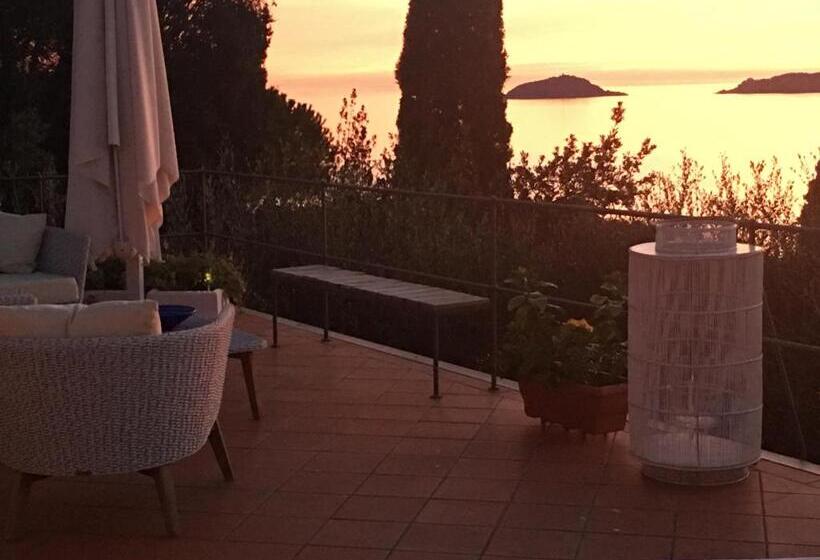 اتاق پنت هاوس, Velamica Resort