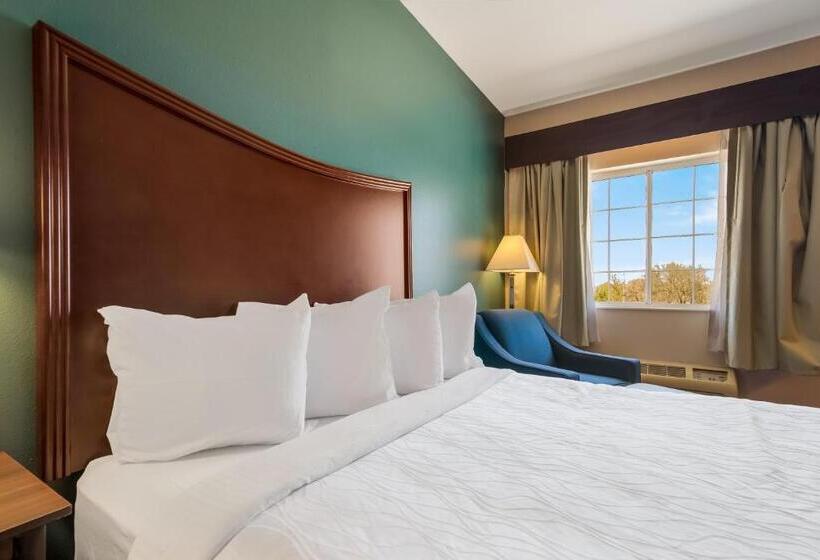 اتاق استاندارد با تخت بزرگ, Surestay Plus Hotel By Best Western Topeka