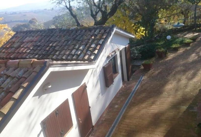 Номер Стандарт, Casale Civetta