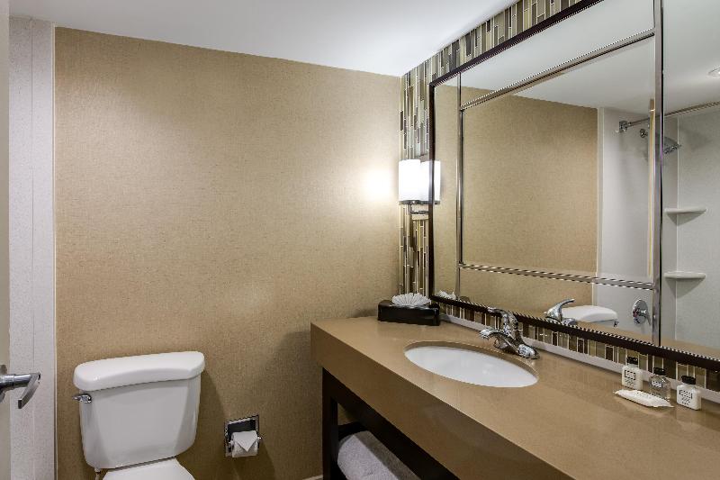 اتاق استاندارد برای معلولان, Crowne Plaza Resort Asheville, An Ihg