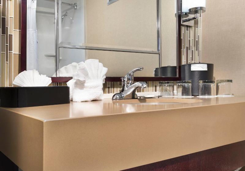 اتاق استاندارد با تخت بزرگ, Crowne Plaza Resort Asheville, An Ihg
