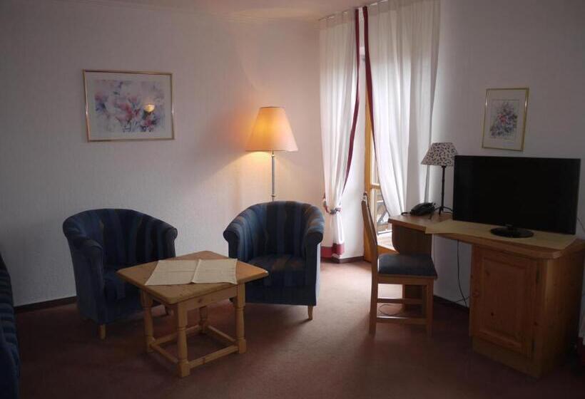 Номер Стандарт, Aparthotel Fackler