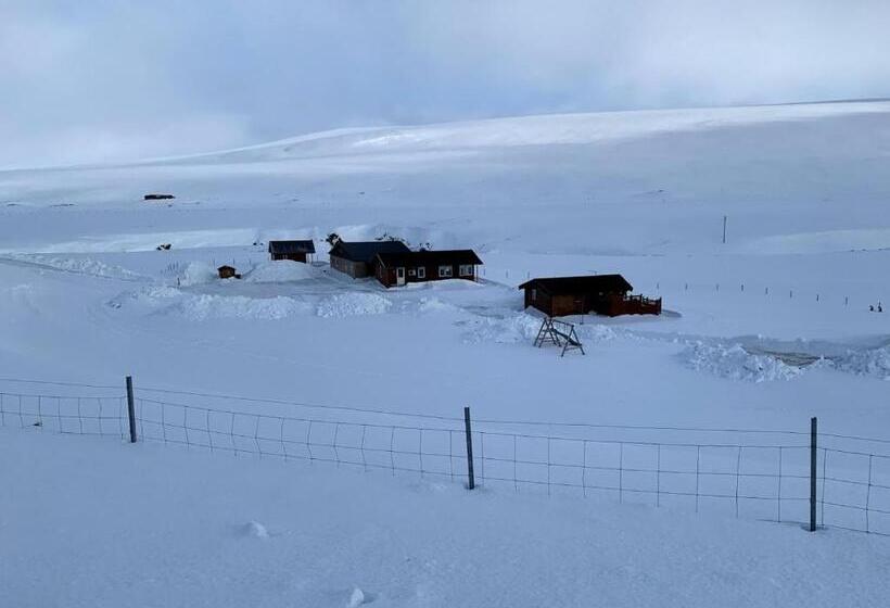 اتاق استاندارد با سرویس بهداشتی مشترک, Sireksstadir Farm Holiday