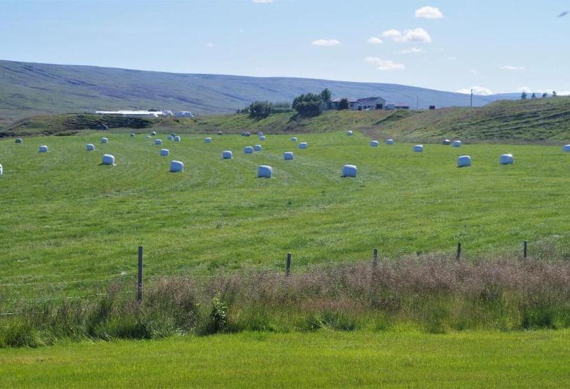 اتاق استاندارد سه تخته با سرویس بهداشتی مشترک, Sireksstadir Farm Holiday