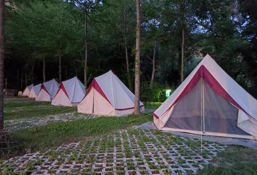 كوخ قياسي, Saecula Natural Village Experience