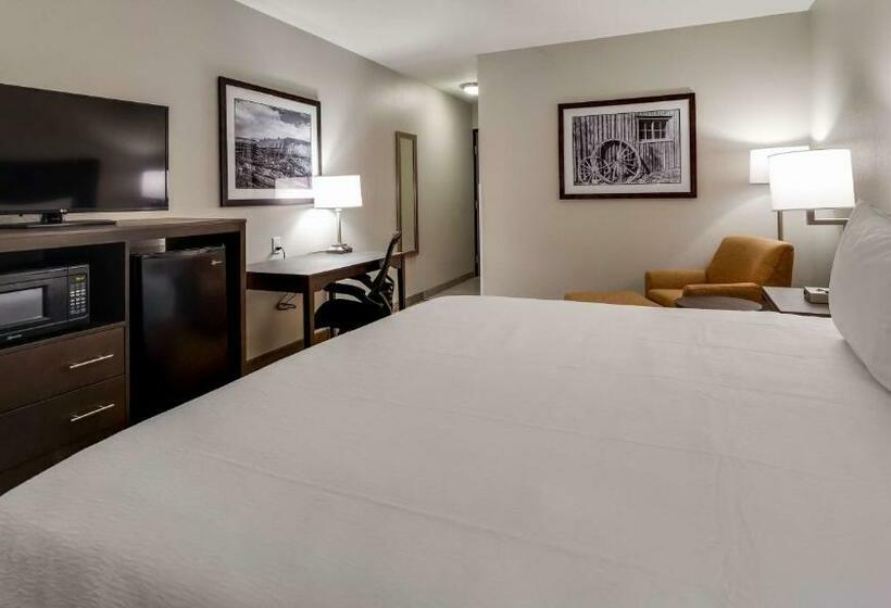 스탠다드 룸 킹사이즈 침대, Best Western Plus The Inn At Hells Canyon