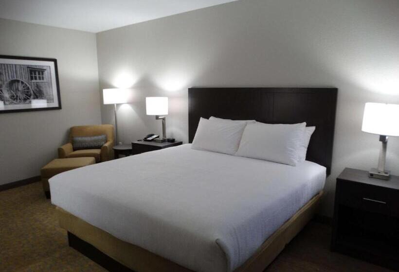 스위트 킹사이즈 침대, Best Western Plus The Inn At Hells Canyon
